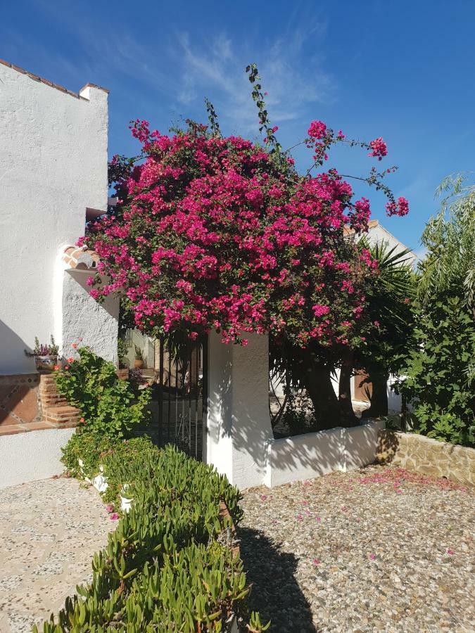 アロラ Casa Fuente De La Zorraゲストハウス エクステリア 写真